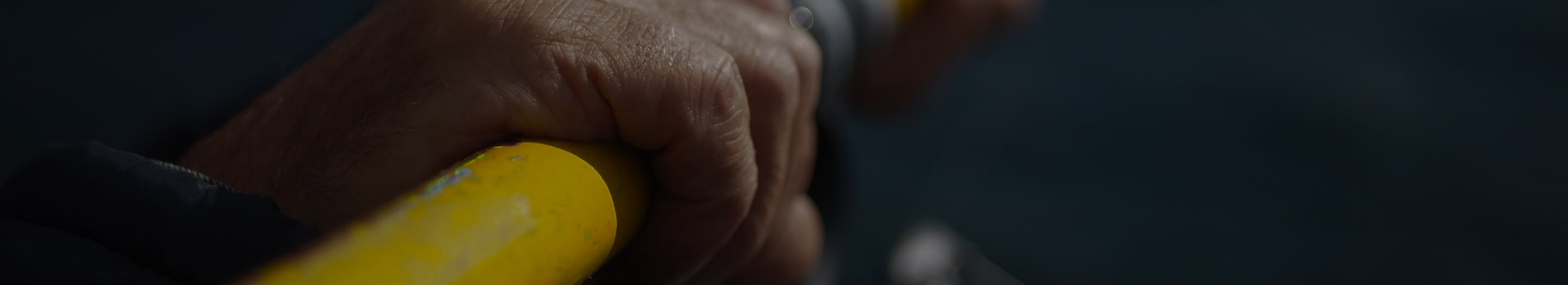 banner image