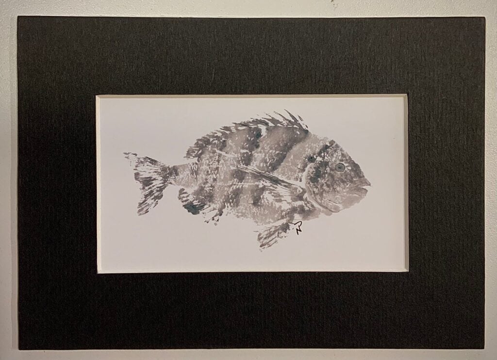 fish prints sheepshead