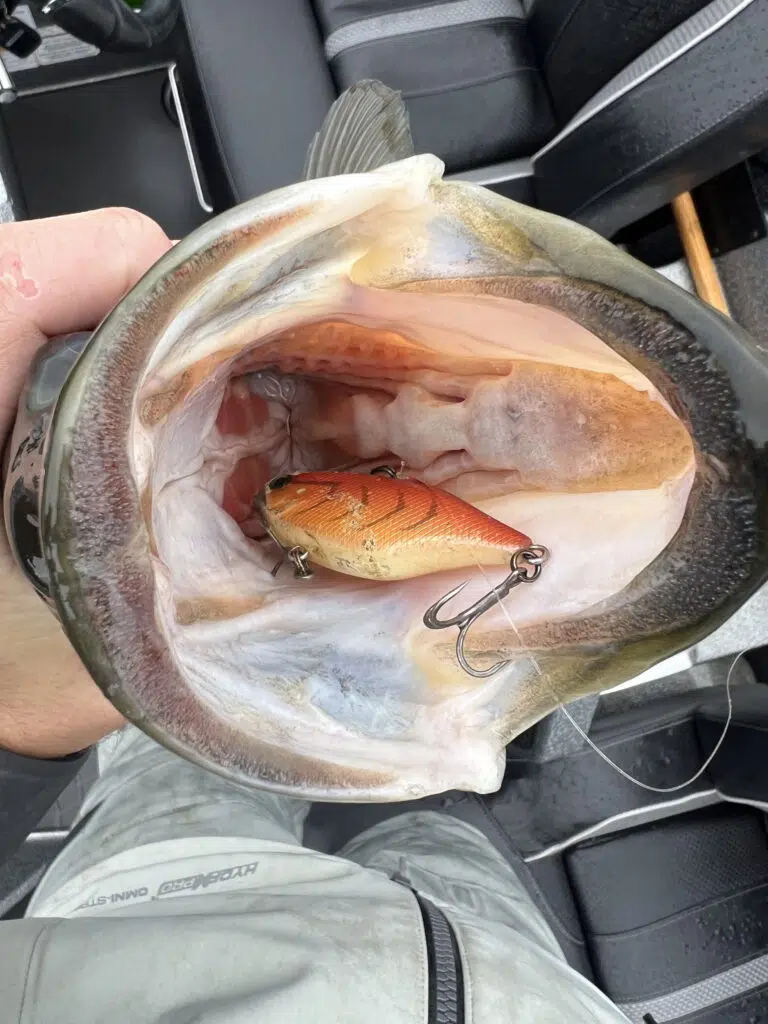 crankbait rods