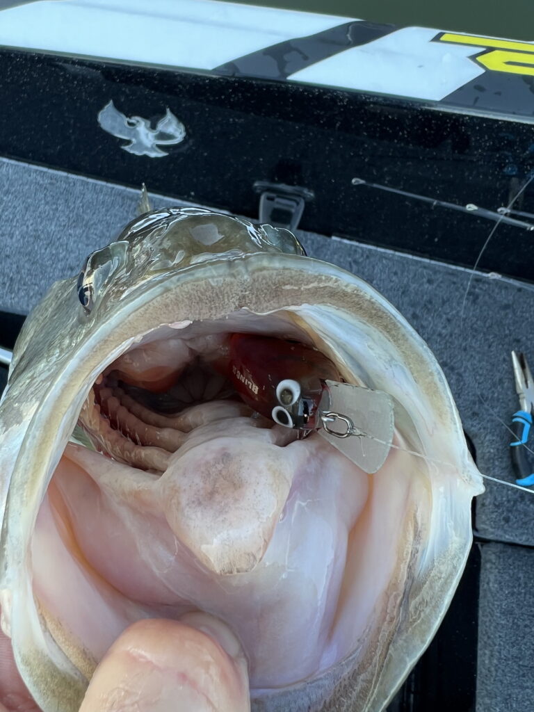 crankbait rods