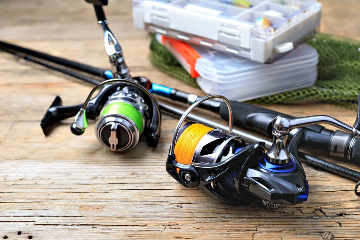 Wholesale Fishing Suppliers Explained for Specialty Retailers