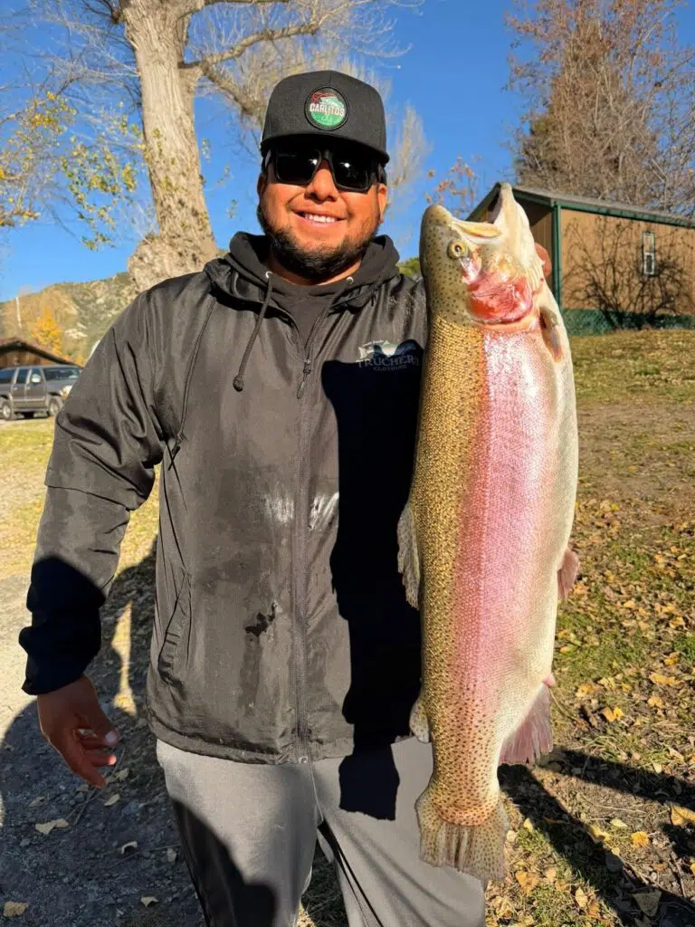 trout