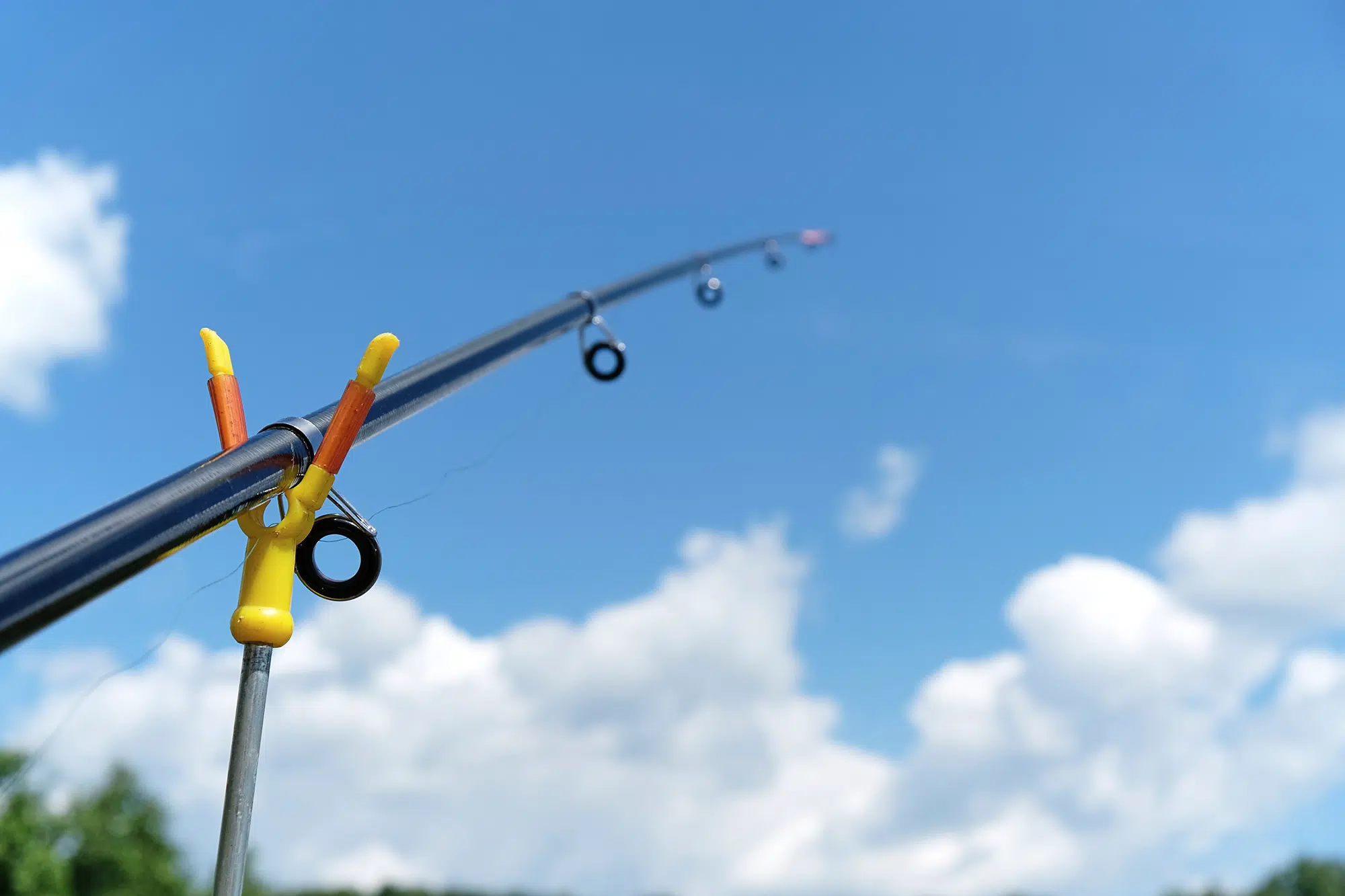 A Closer Look At a Fishing Guide System