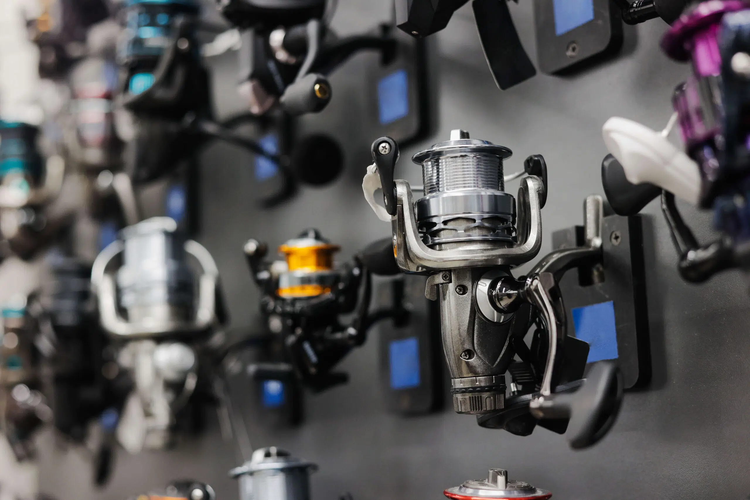 Fishing Gear Distributors vs Specialty Suppliers